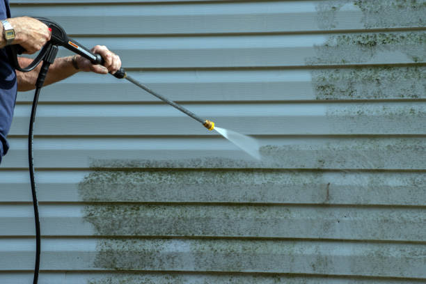 Best Solar Panel Cleaning  in Warren Af, WY